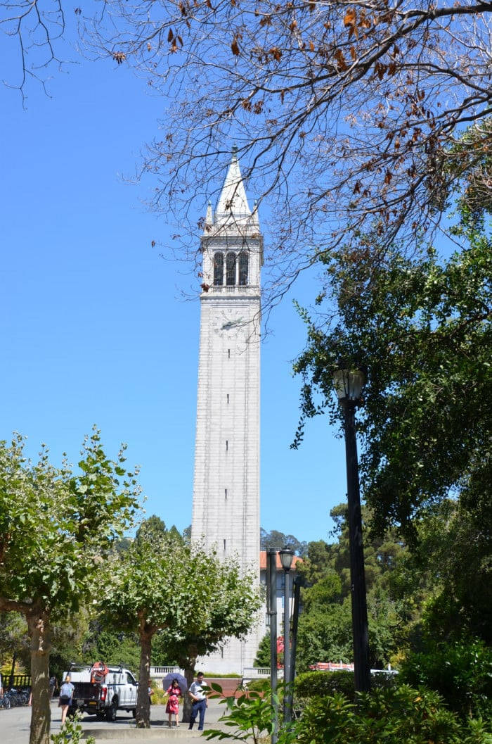 Ucb Sather Tower Portrait Background