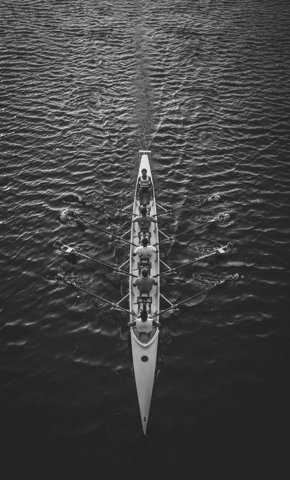 Ucd Boat Race Team