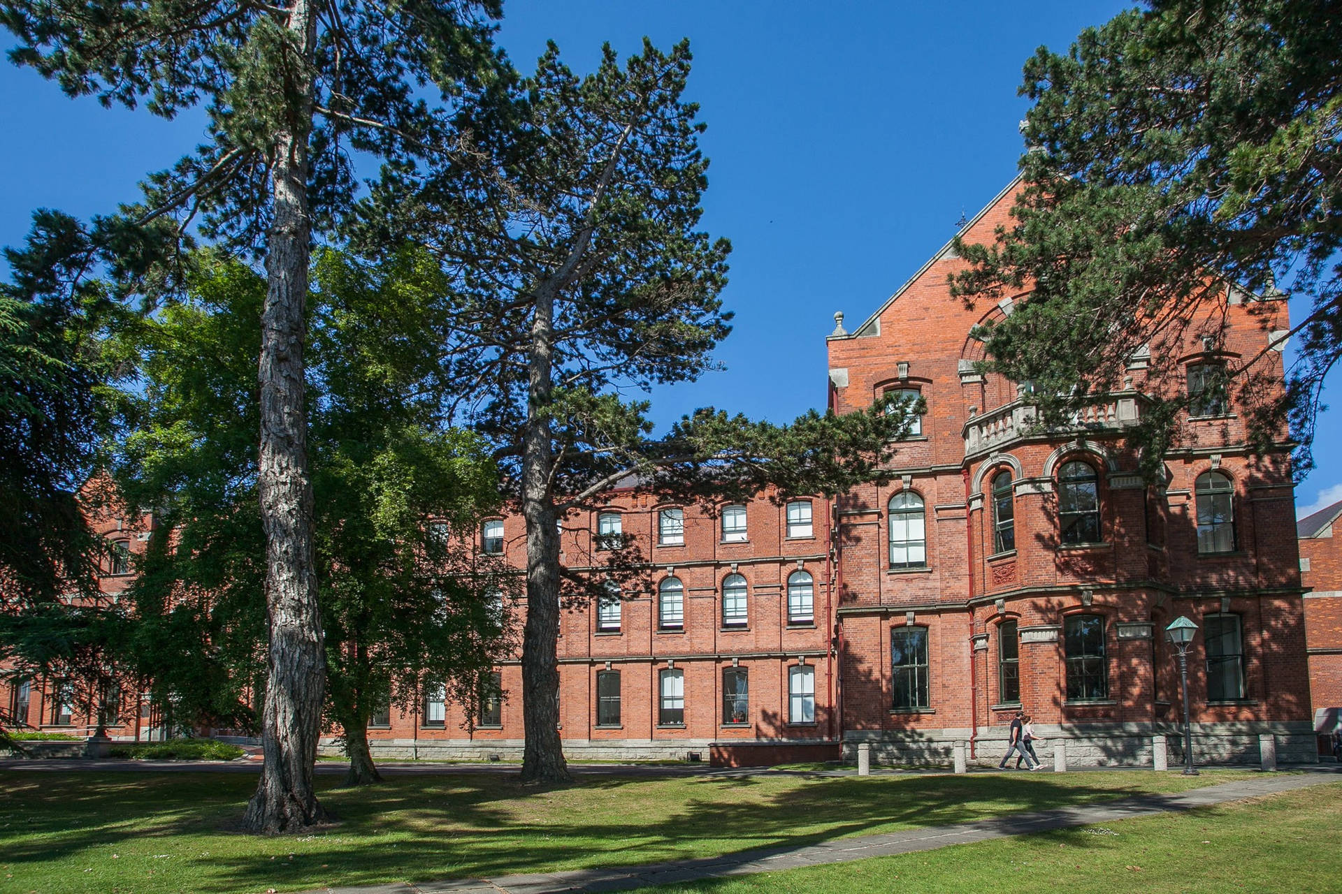 Ucd Building With Trees Background