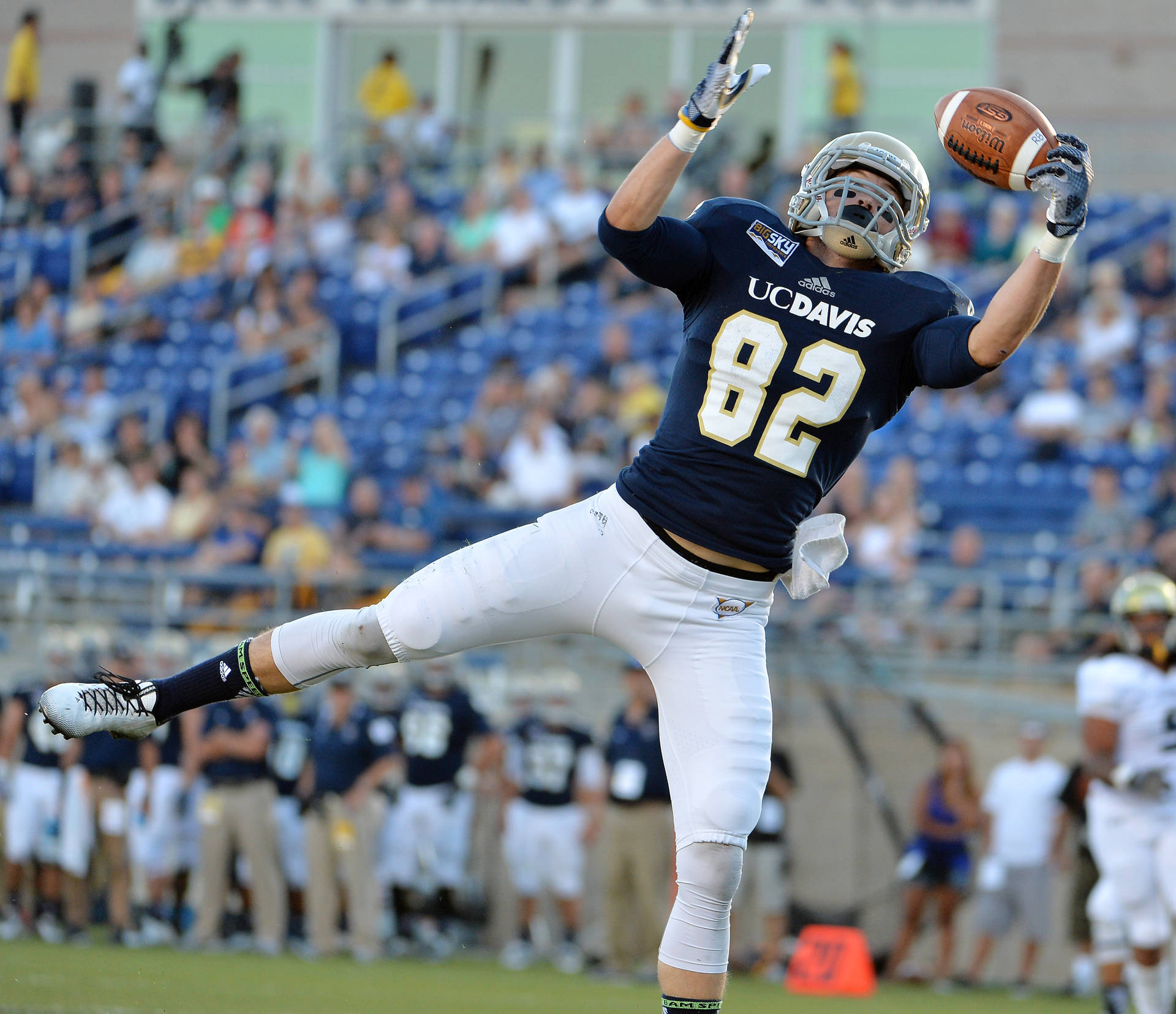 Ucd Football Player Background