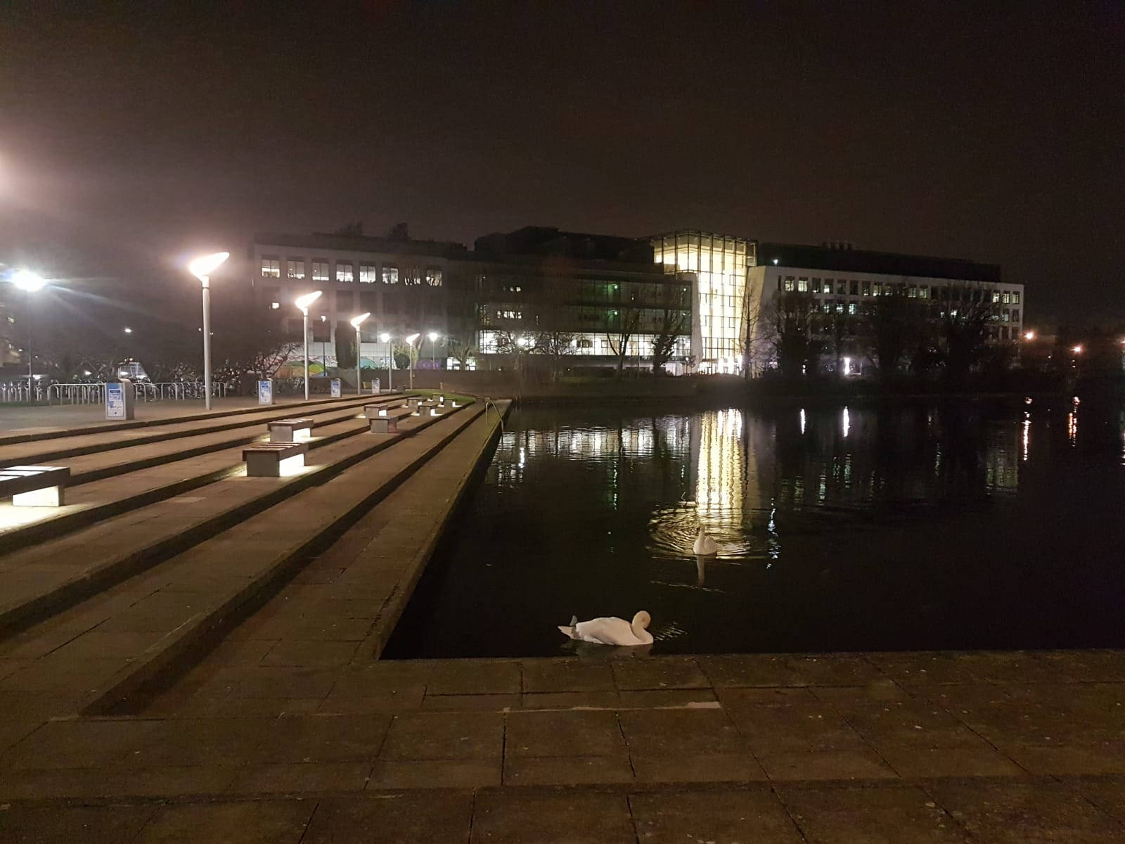 Ucd School Pond Background