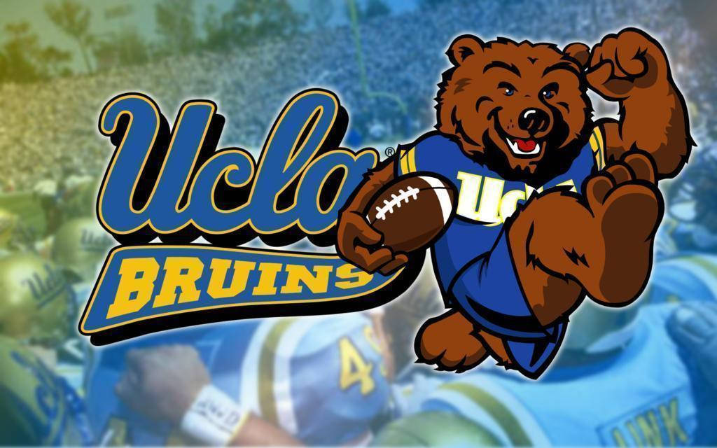 Ucla Bruins Brown Bear