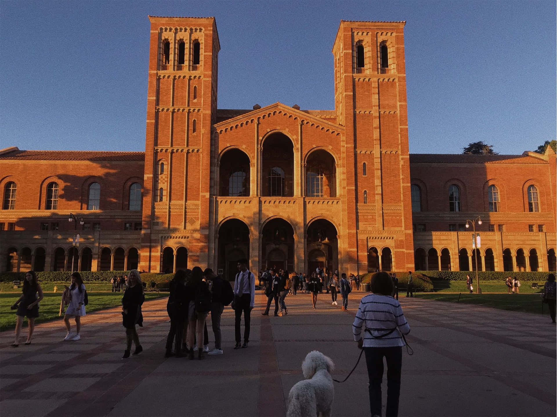 Ucla Campus In Los Angeles Background