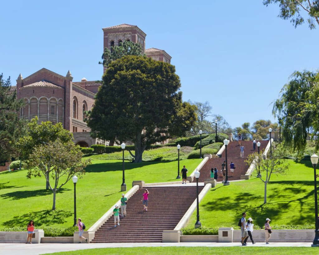 Ucla Campus, Los Angeles Background