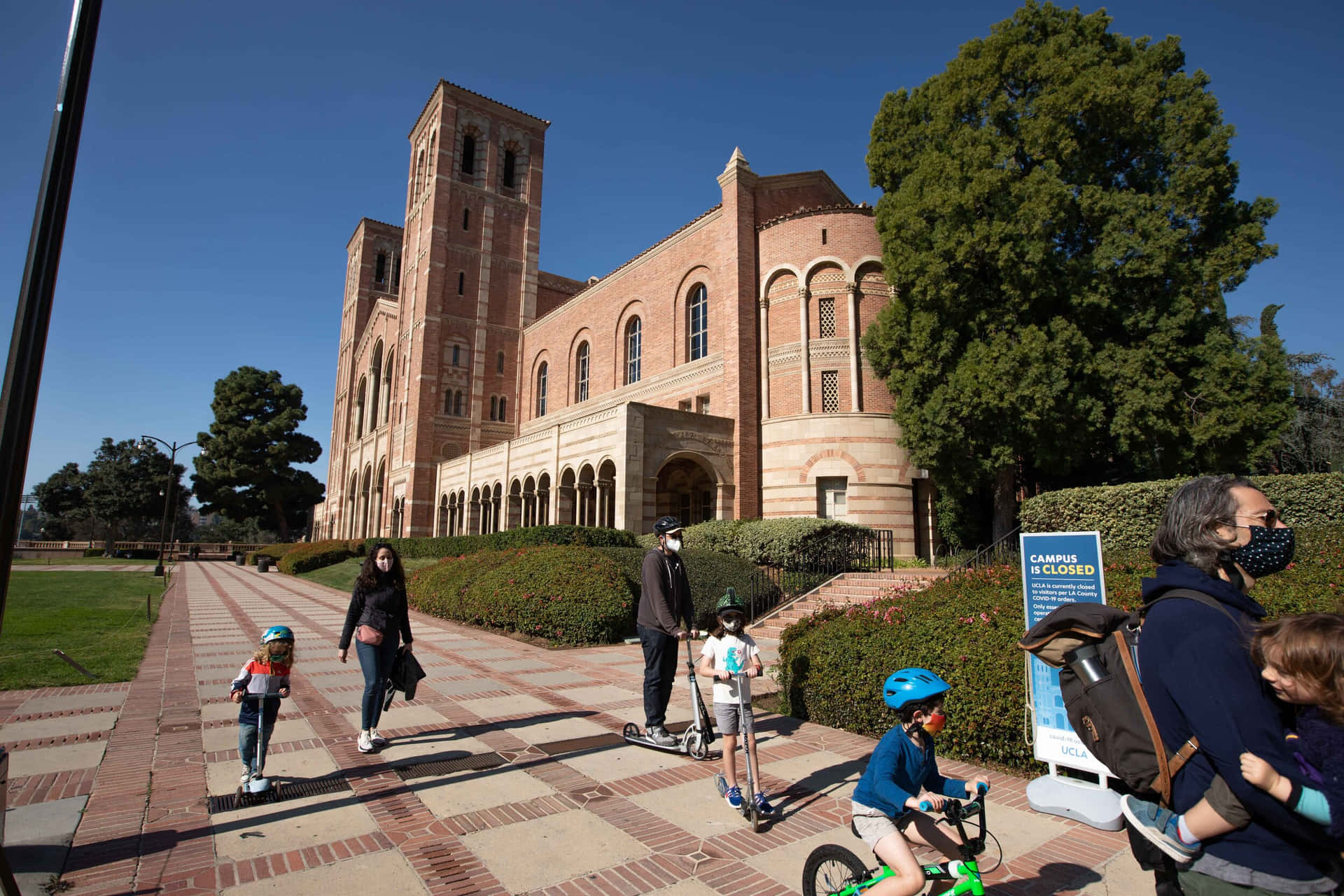 Ucla Campus, Surrounded By Beautiful And Lush Landscapes Background