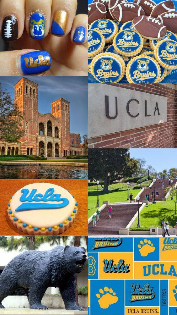 Ucla Collage Photos Background