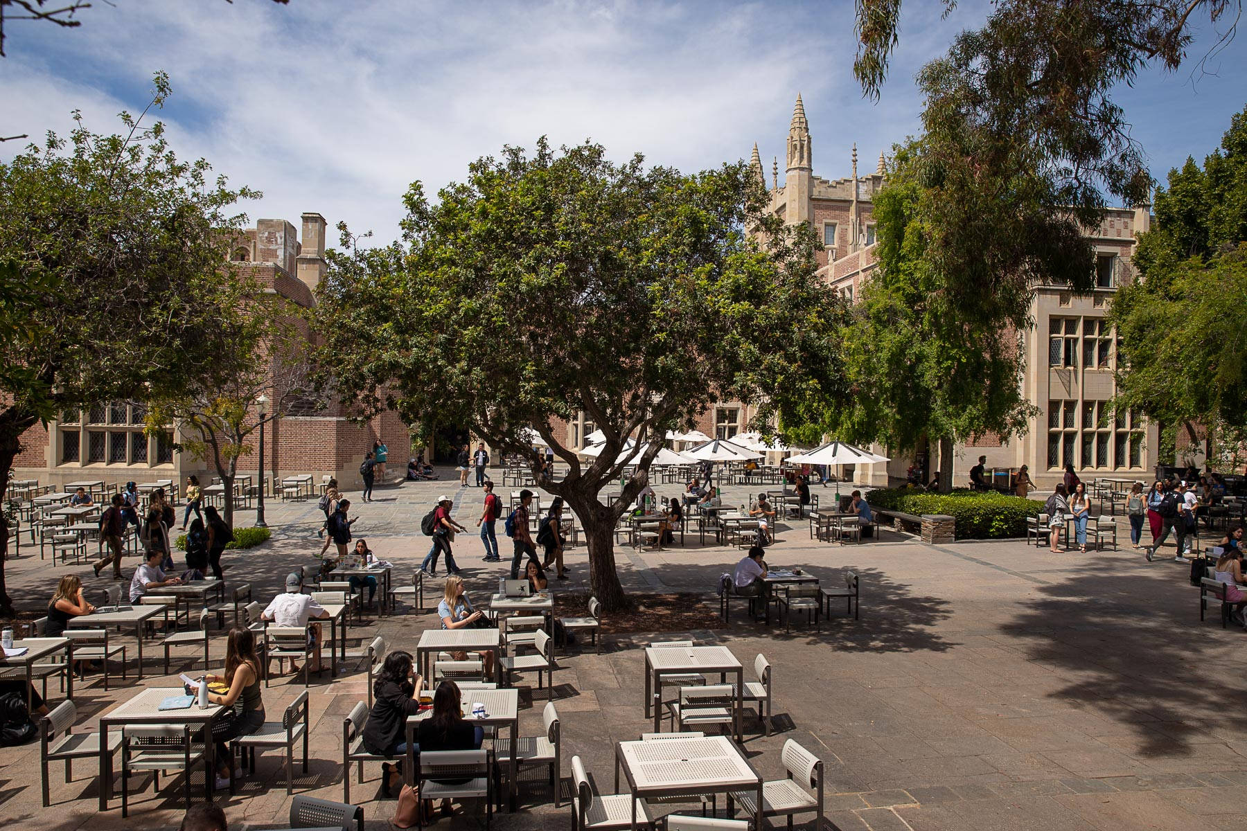 Ucla Kerckhoff Coffee House Background