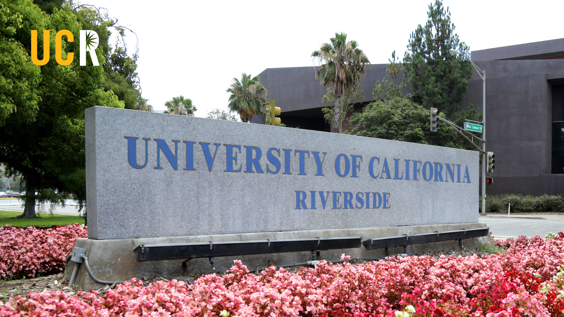 Ucr Concrete Sign With Flowers