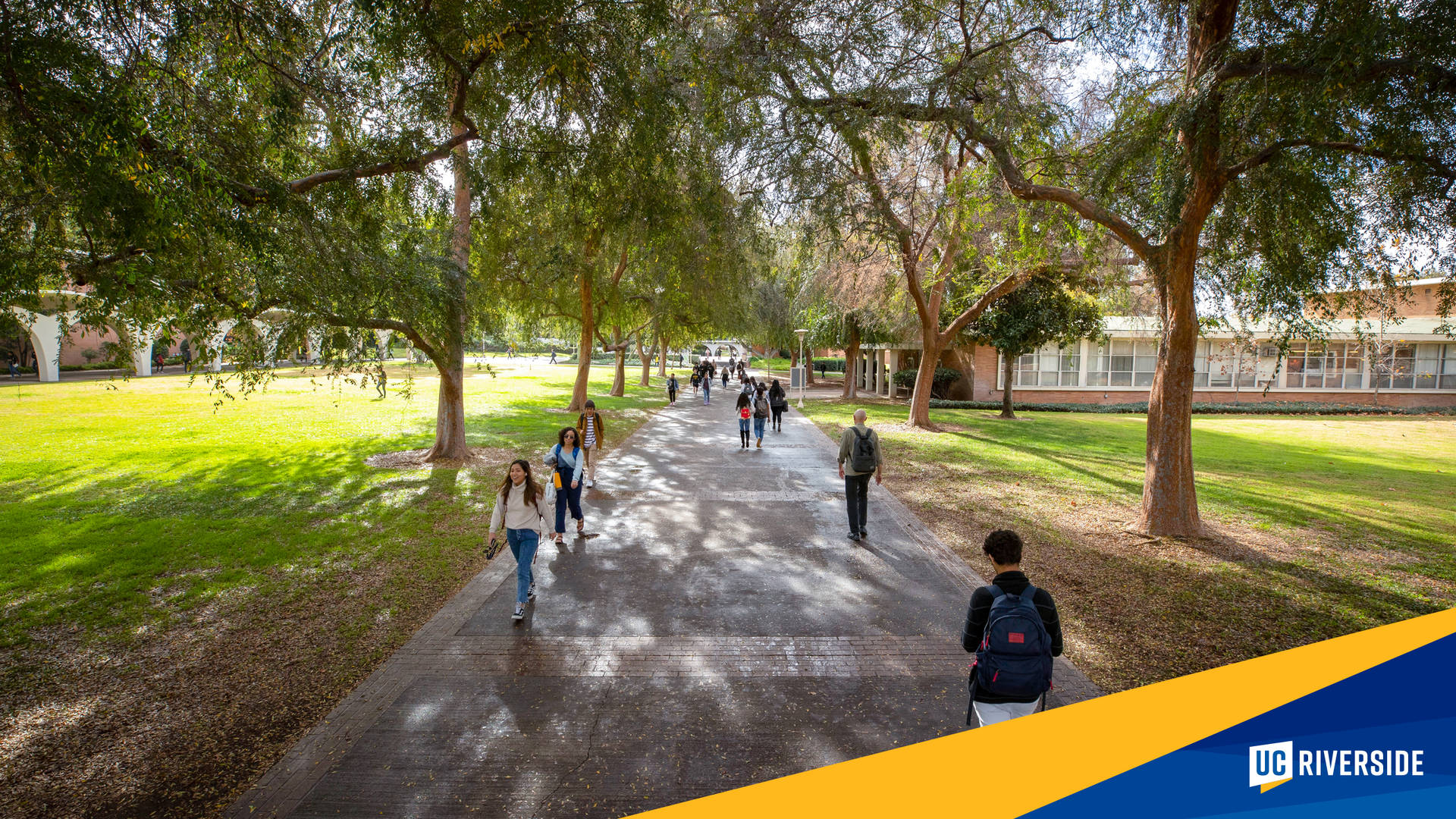 Ucr Pathway With Students