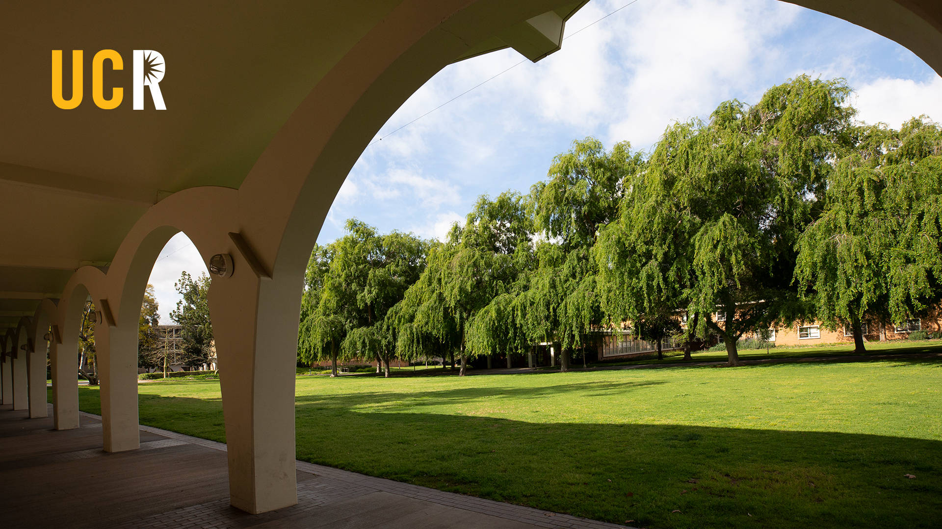 Ucr Tomás Rivera Library Arches