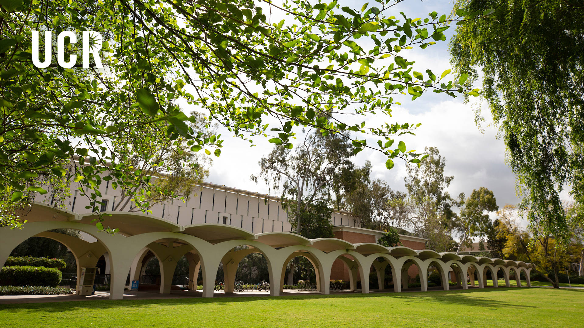 Ucr Tomas Rivera Library Surrounded By Lush Green Trees