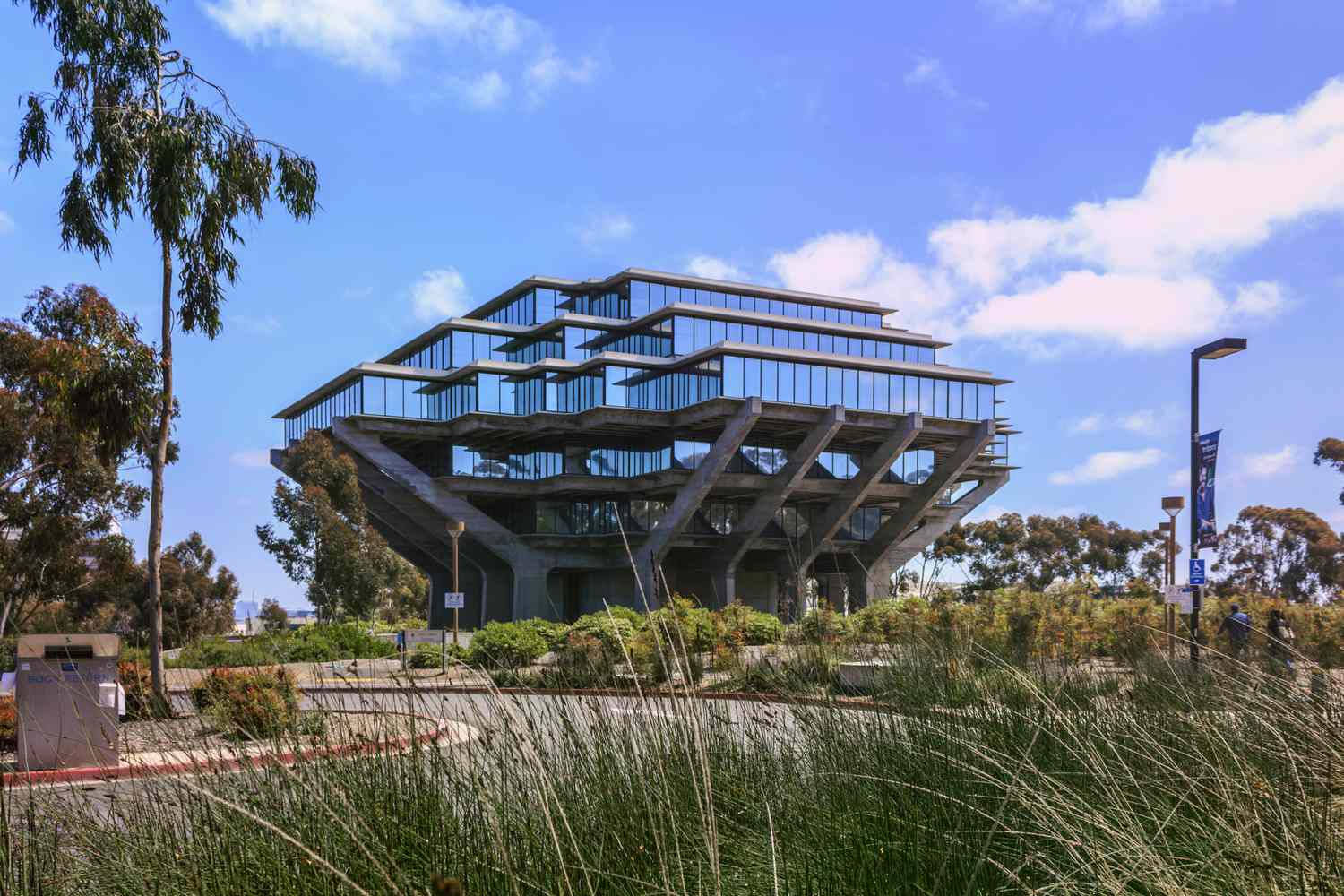 Ucsd Field Library Background