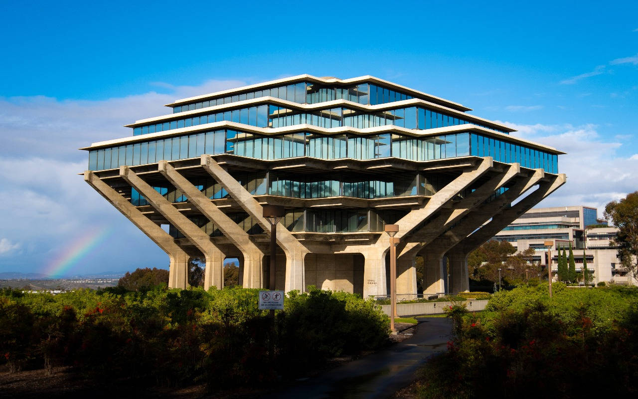 Ucsd Geisel Tall Grass Background