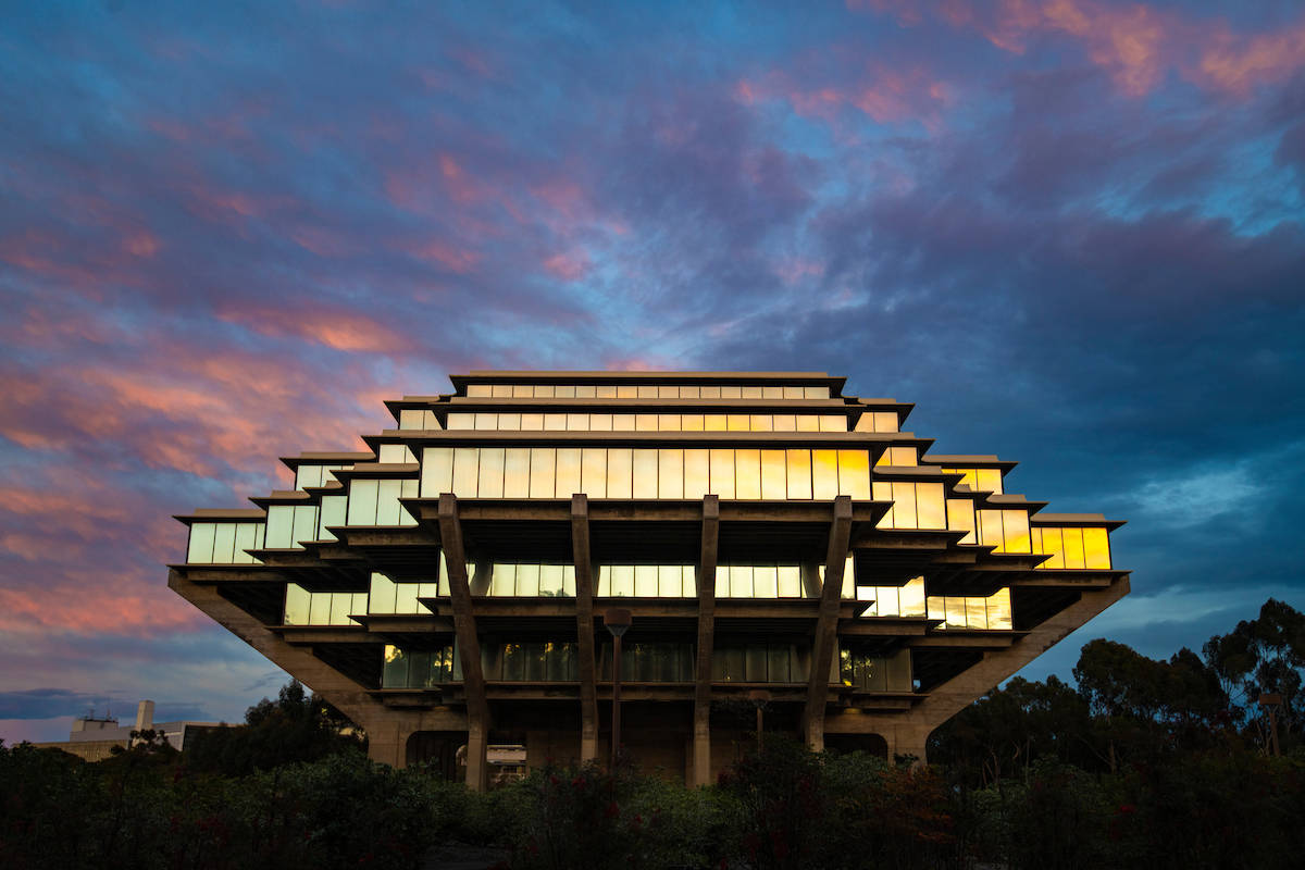 Ucsd Sunset Lights