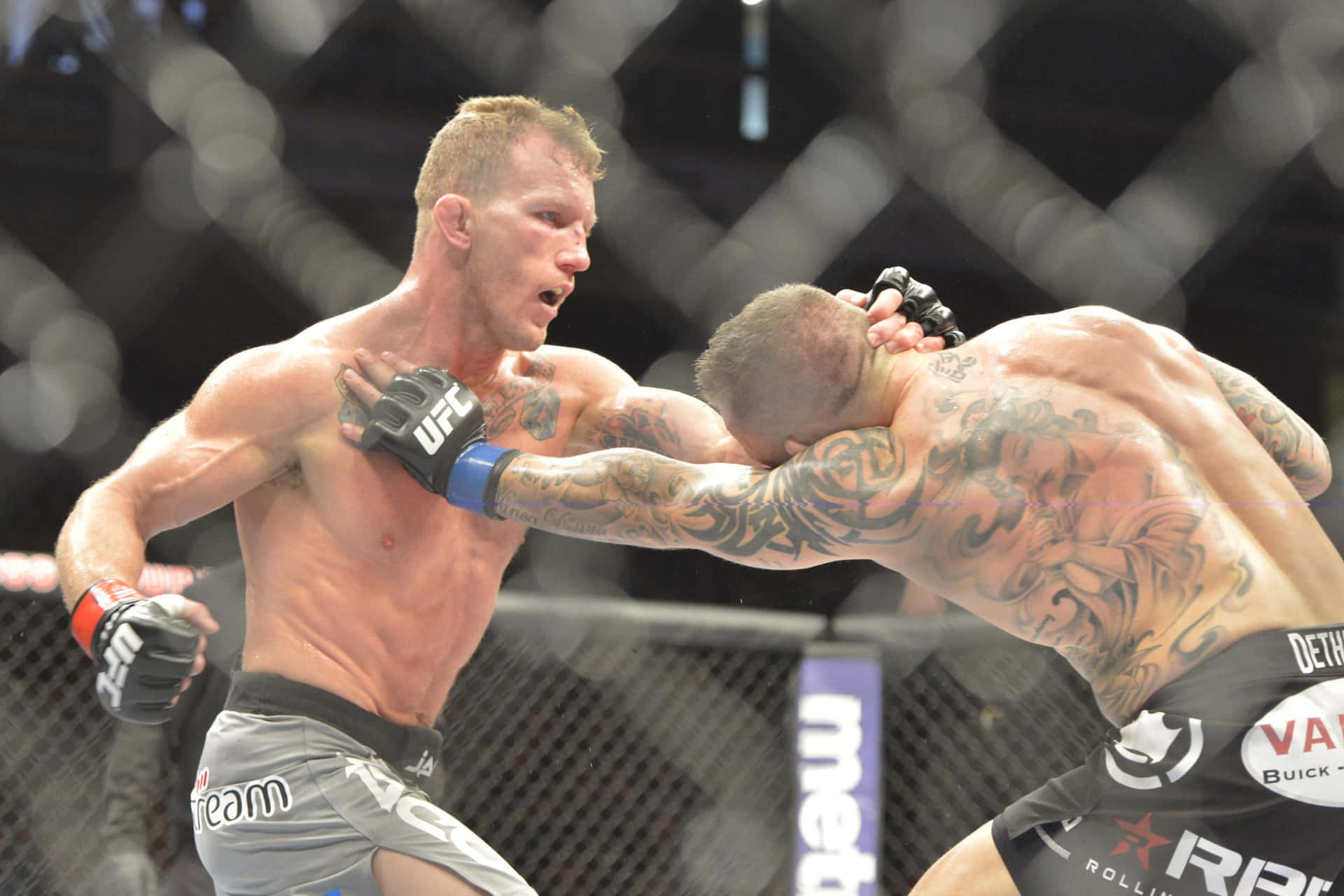 Ufc 125: Resolution Gray Maynard Vs. Edgar Background