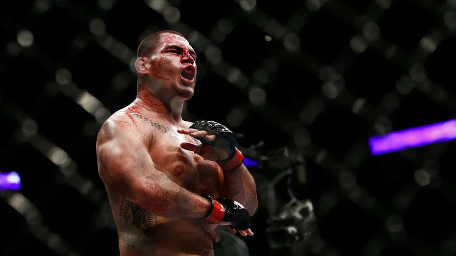 Ufc 14 Mixed Martial Artist Cain Velasquez Background