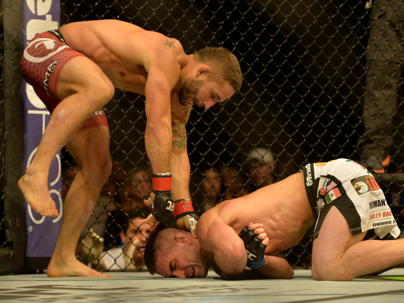 Ufc 189: Chad Mendes Vs. Conor Mcgregor Background