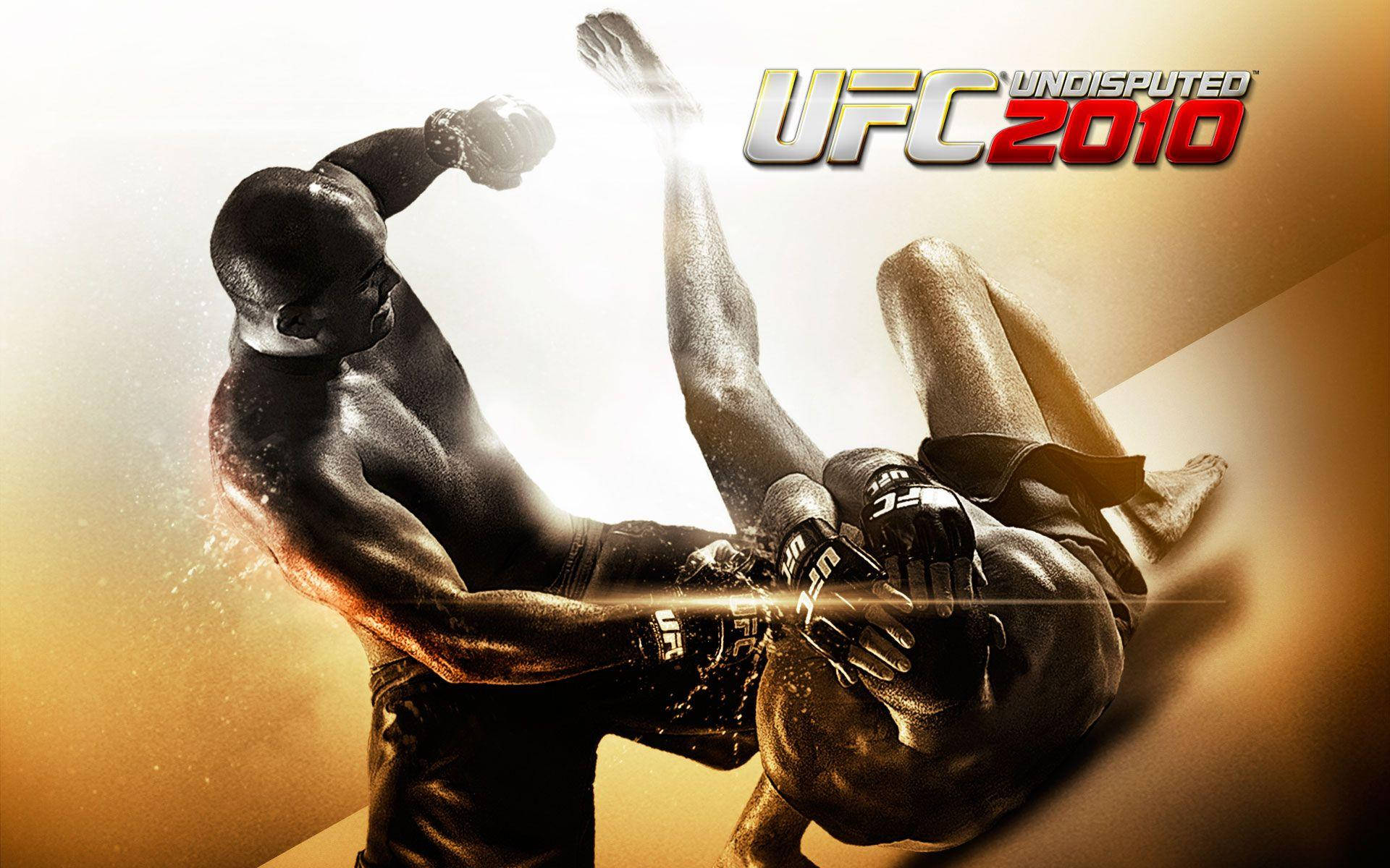 Ufc 2010 Action Poster 4k Background