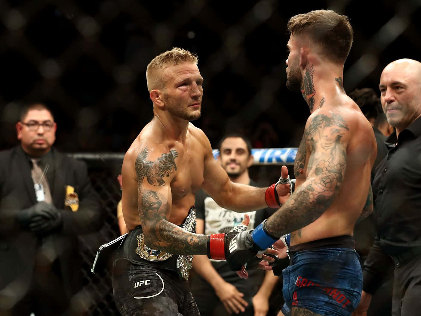 Ufc 227: Tj Dillashaw Vs. Garbrandt Background