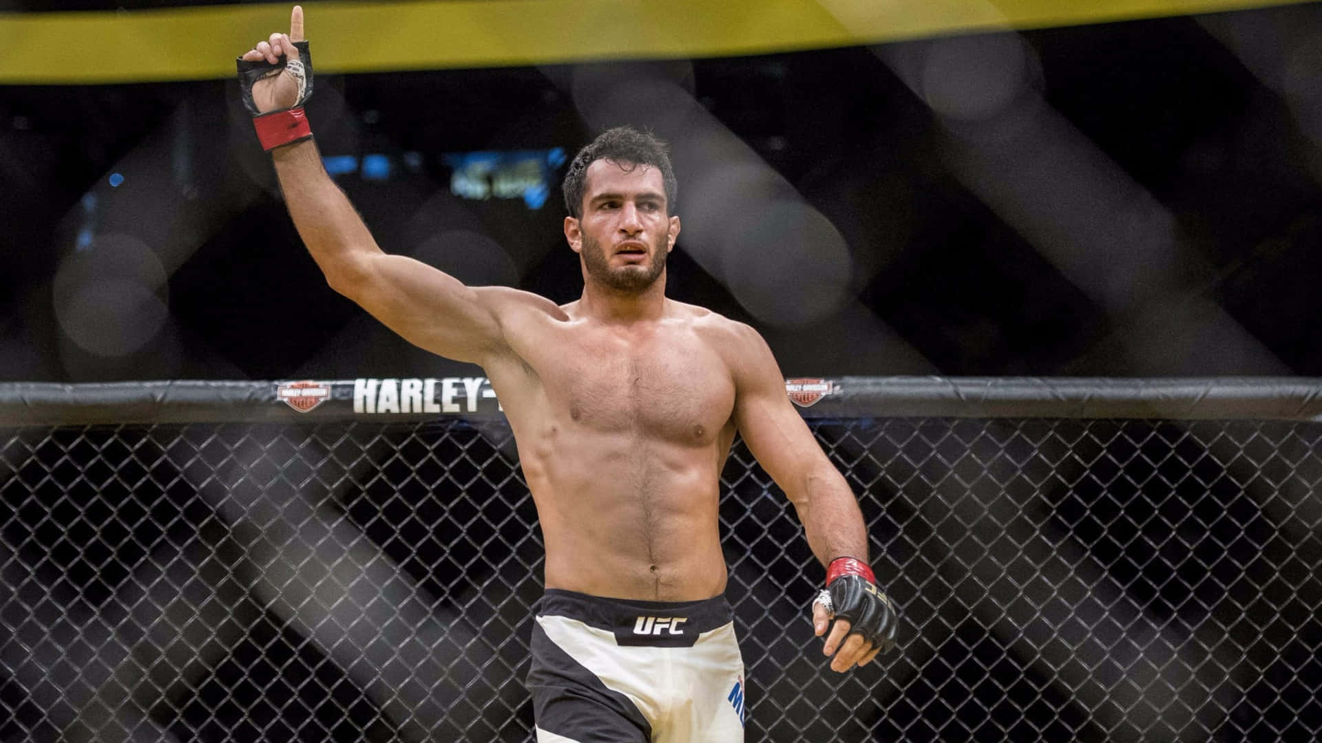 Ufc 99 Gegard Mousasi On Octagon Ring Background