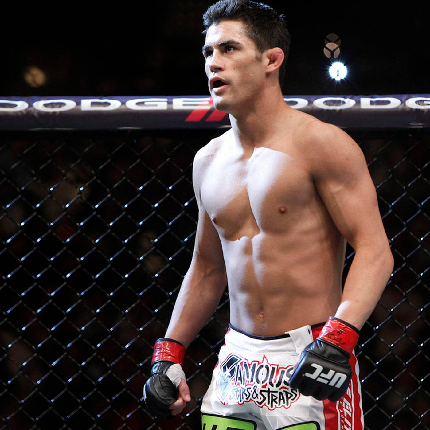 Ufc Athlete Dominick Cruz Background