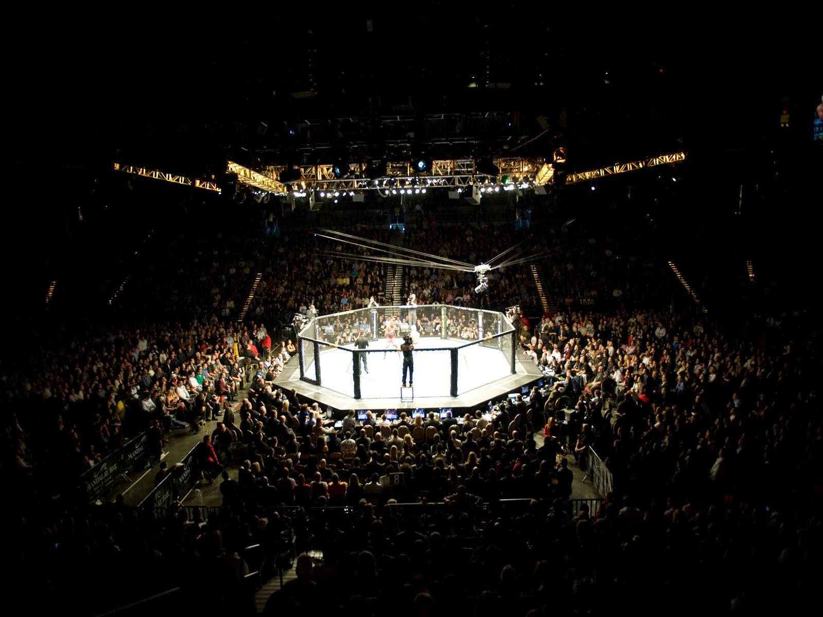 Ufc Battle Ring Crowd 4k Background