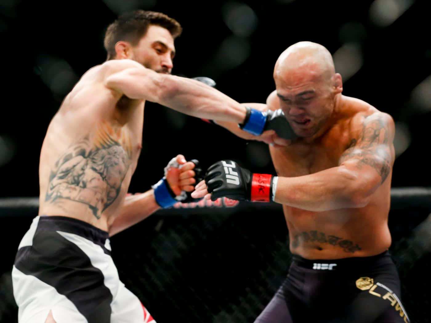 Ufc Carlos Condit Punch