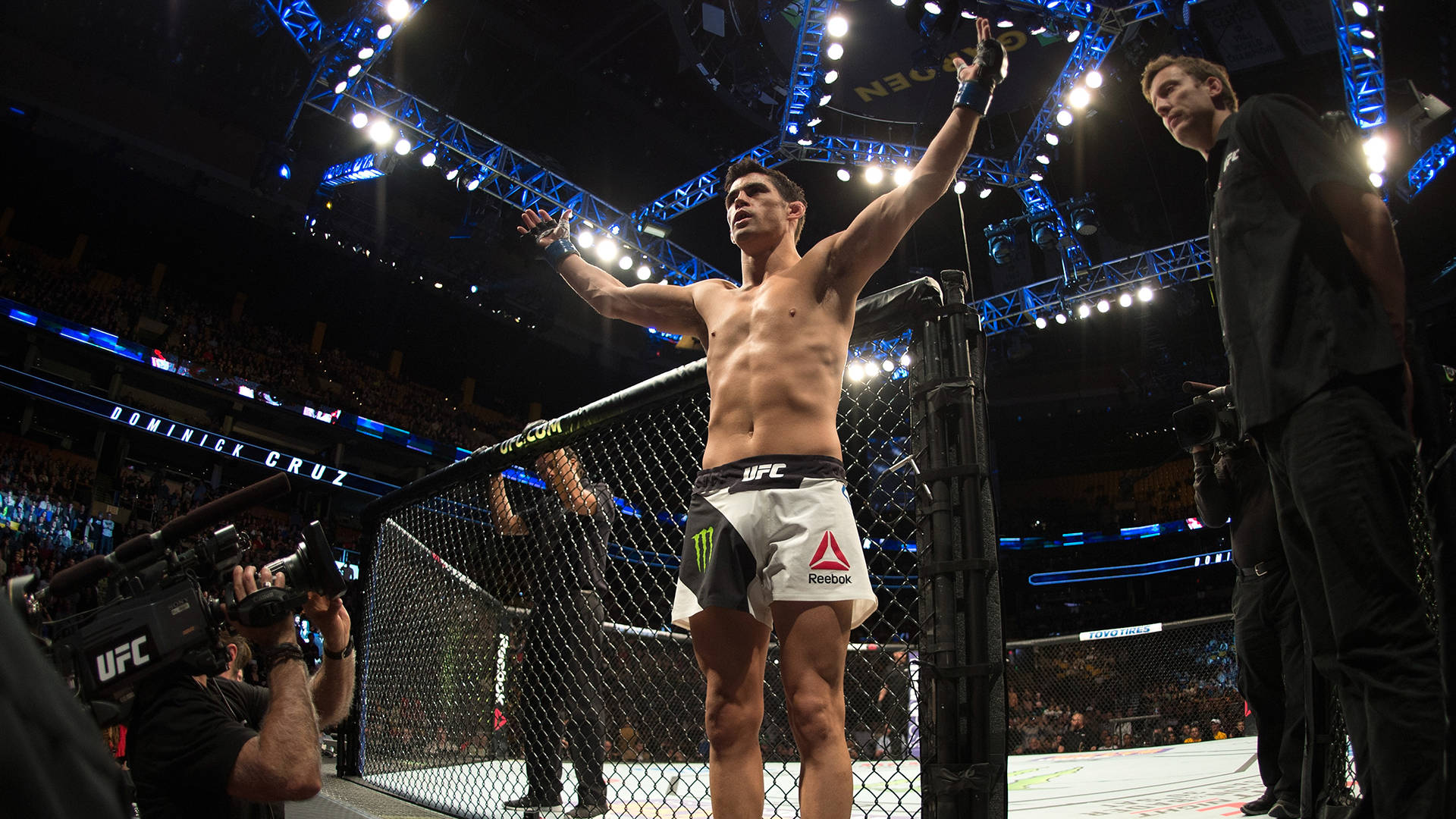 Ufc Champion Dominick Cruz Background