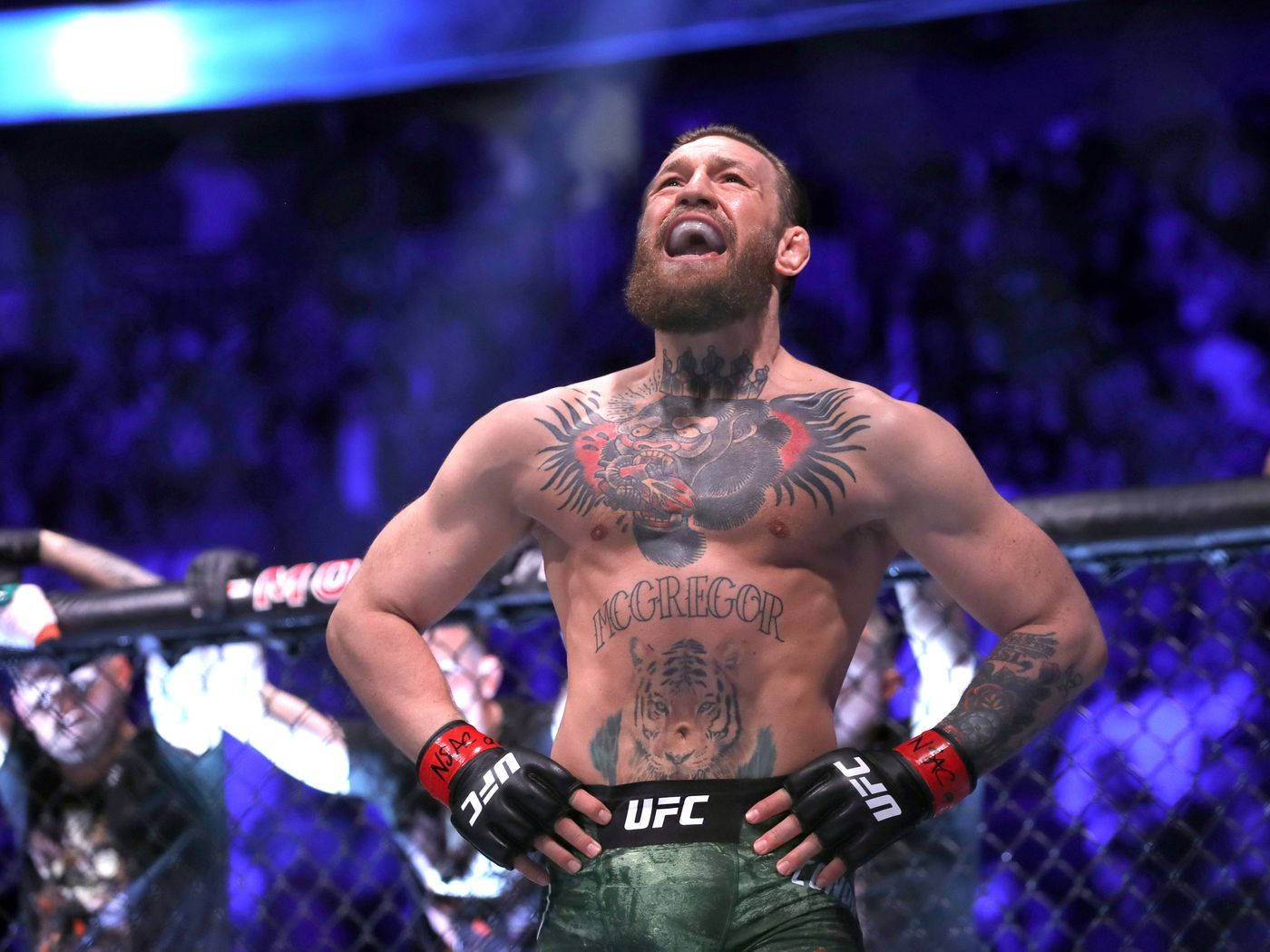 Ufc Conor Mcgregor On Ring 4k Background