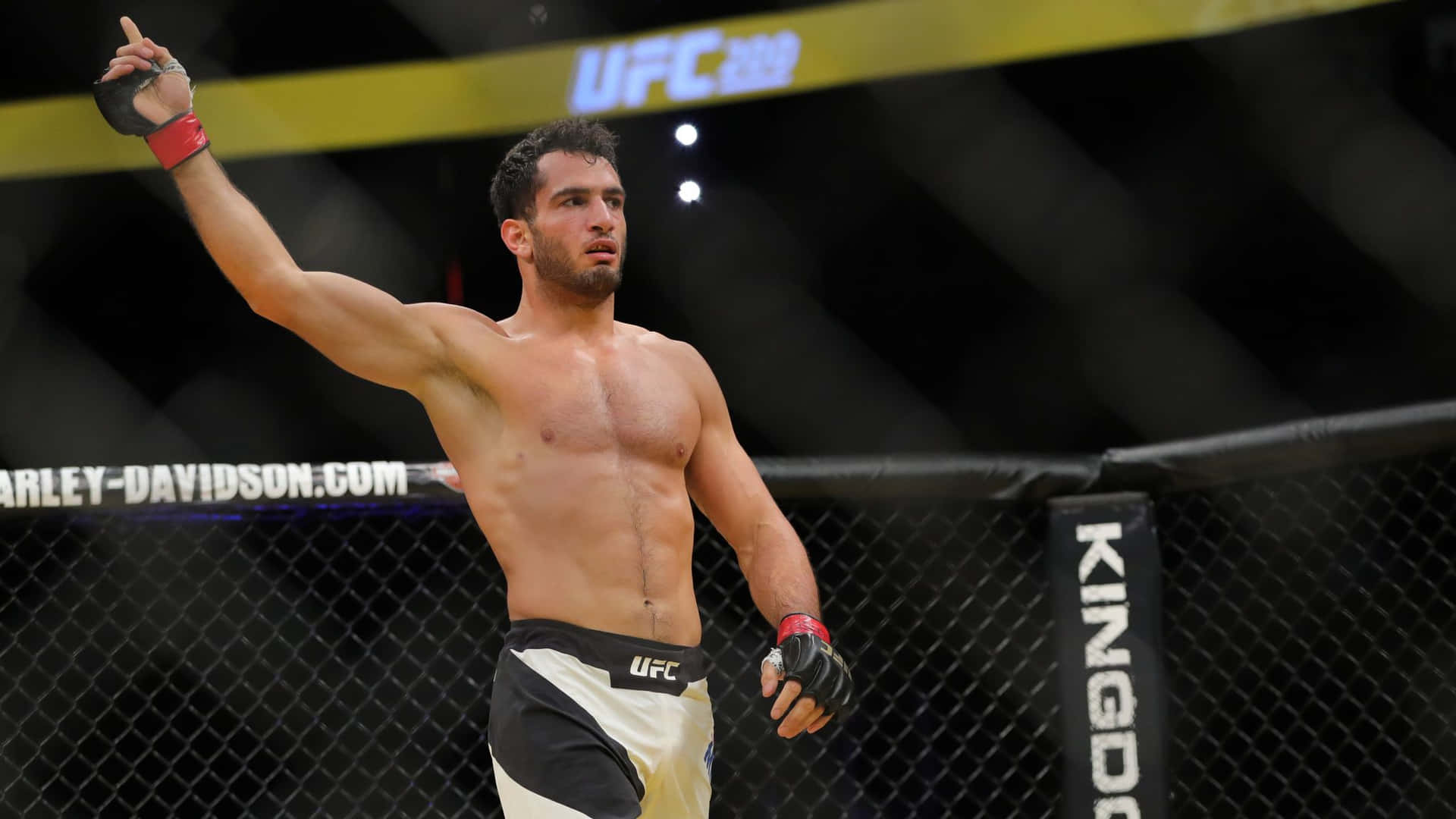 Ufc Dutch Fighter Gegard Mousasi Background