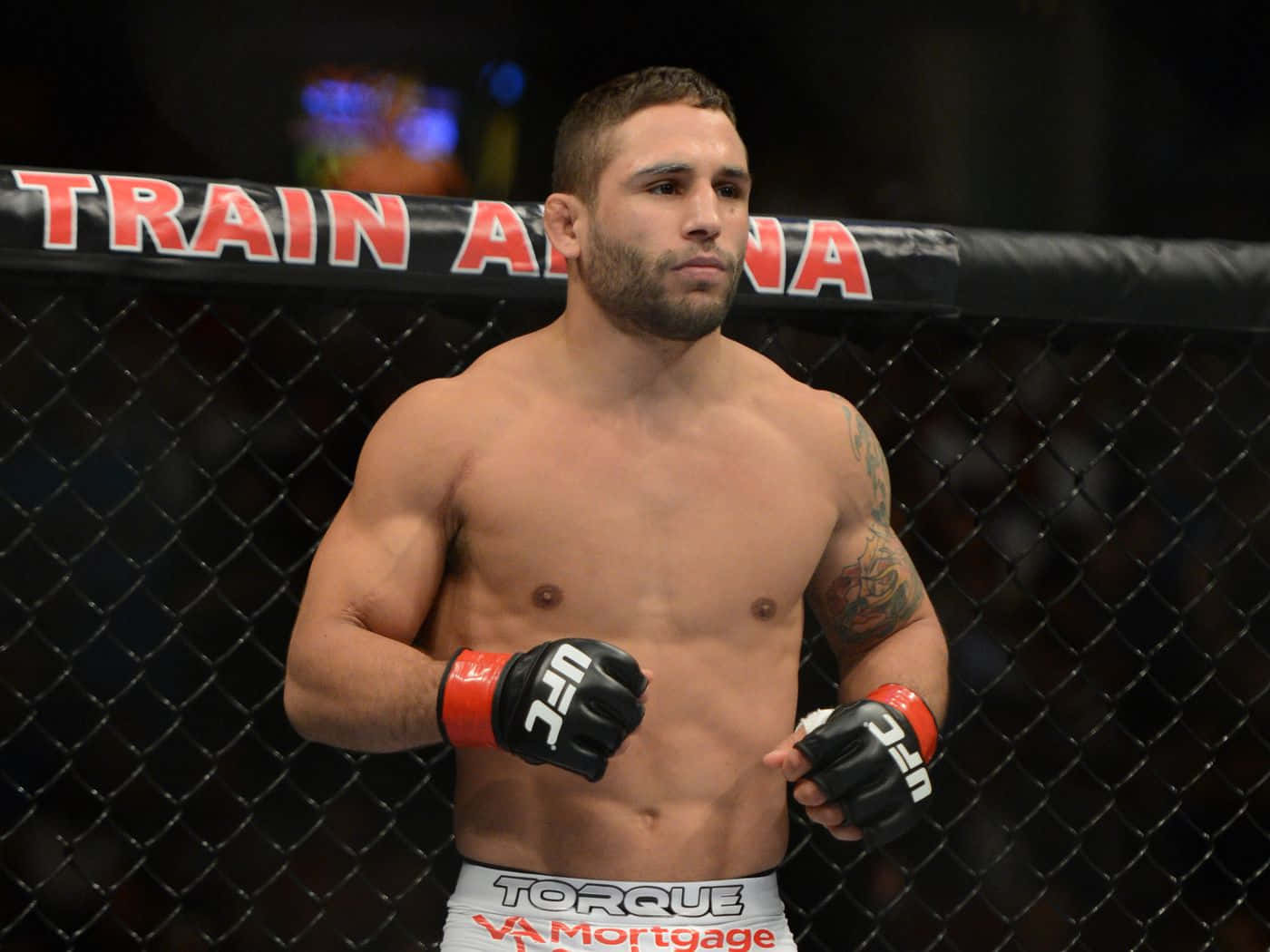 Ufc Fight Night 63 Chad Mendes Background