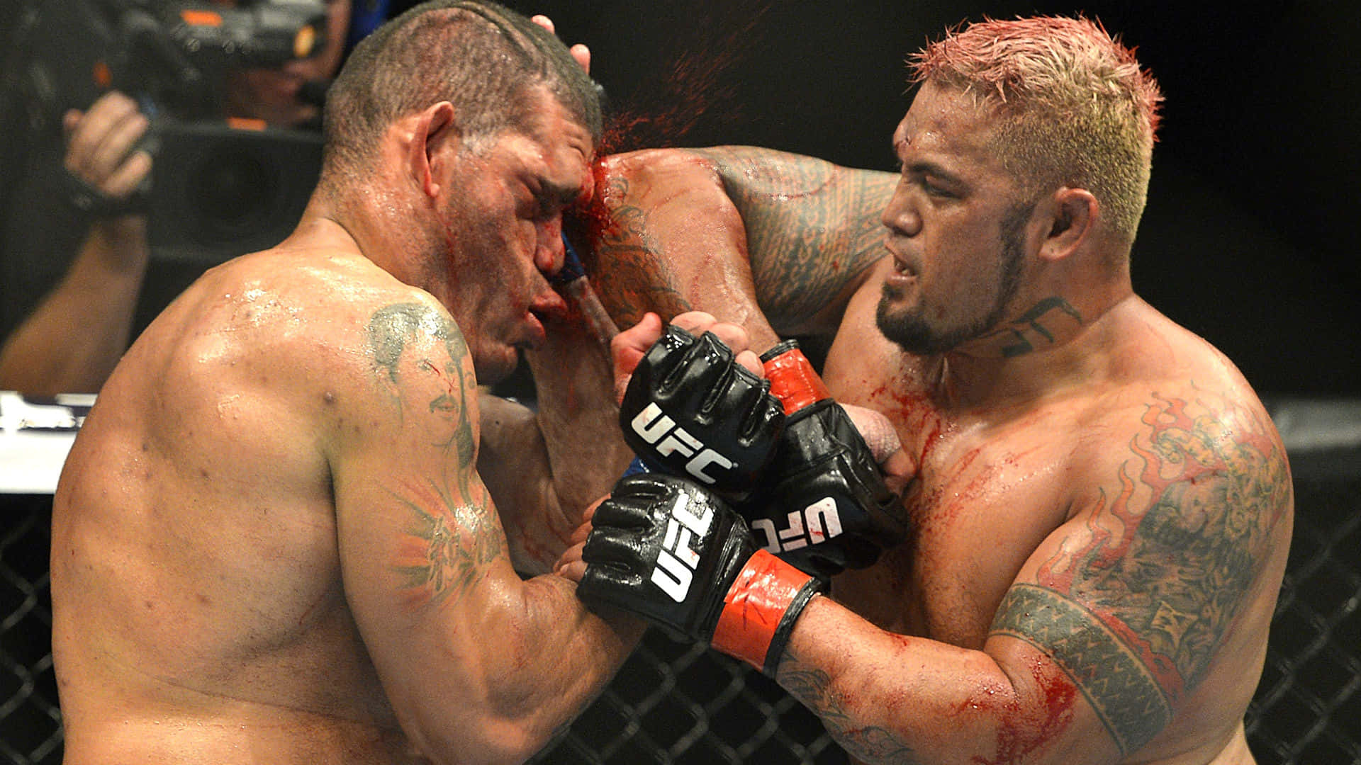 Ufc Fight Night Mark Hunt Background