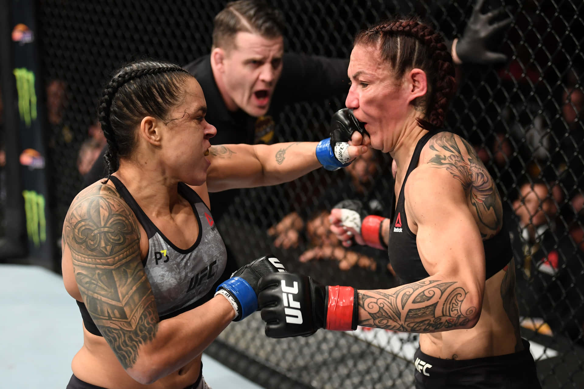 Ufc Fighter Amanda Nunes And Cris Cyborg Ufc 232 Match Background