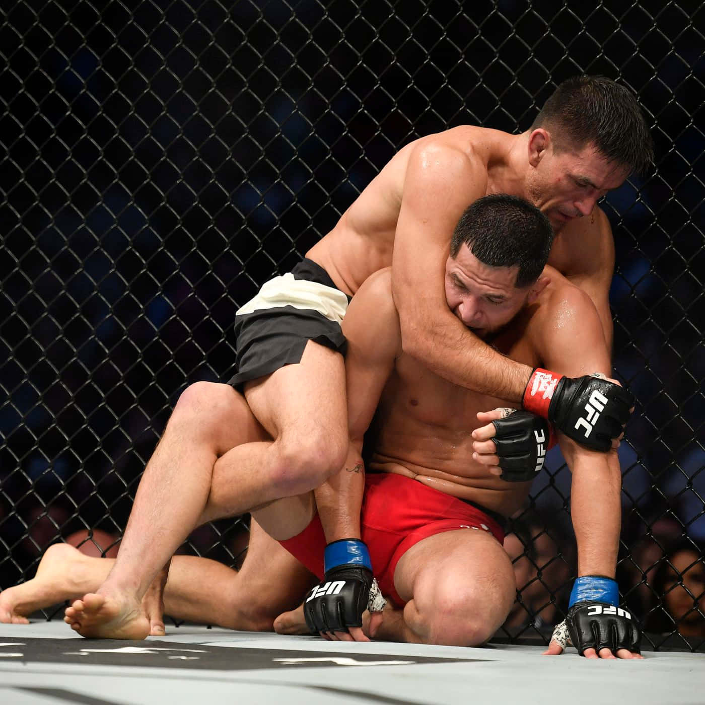 Ufc Fighter Brazilian Demian Maia Background