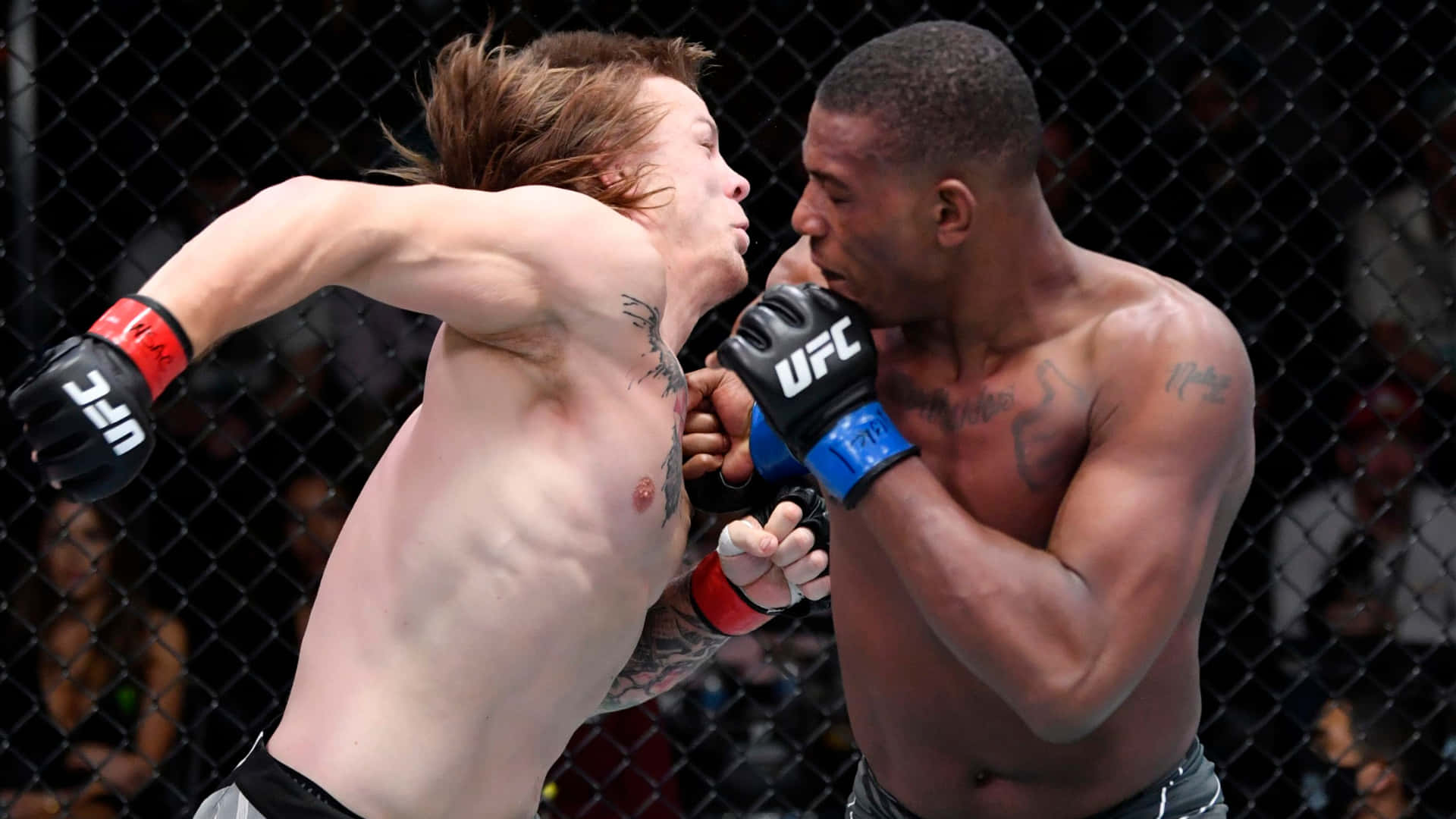 Ufc Fighter Jimmy Crute Ready To Strike Opponent Background