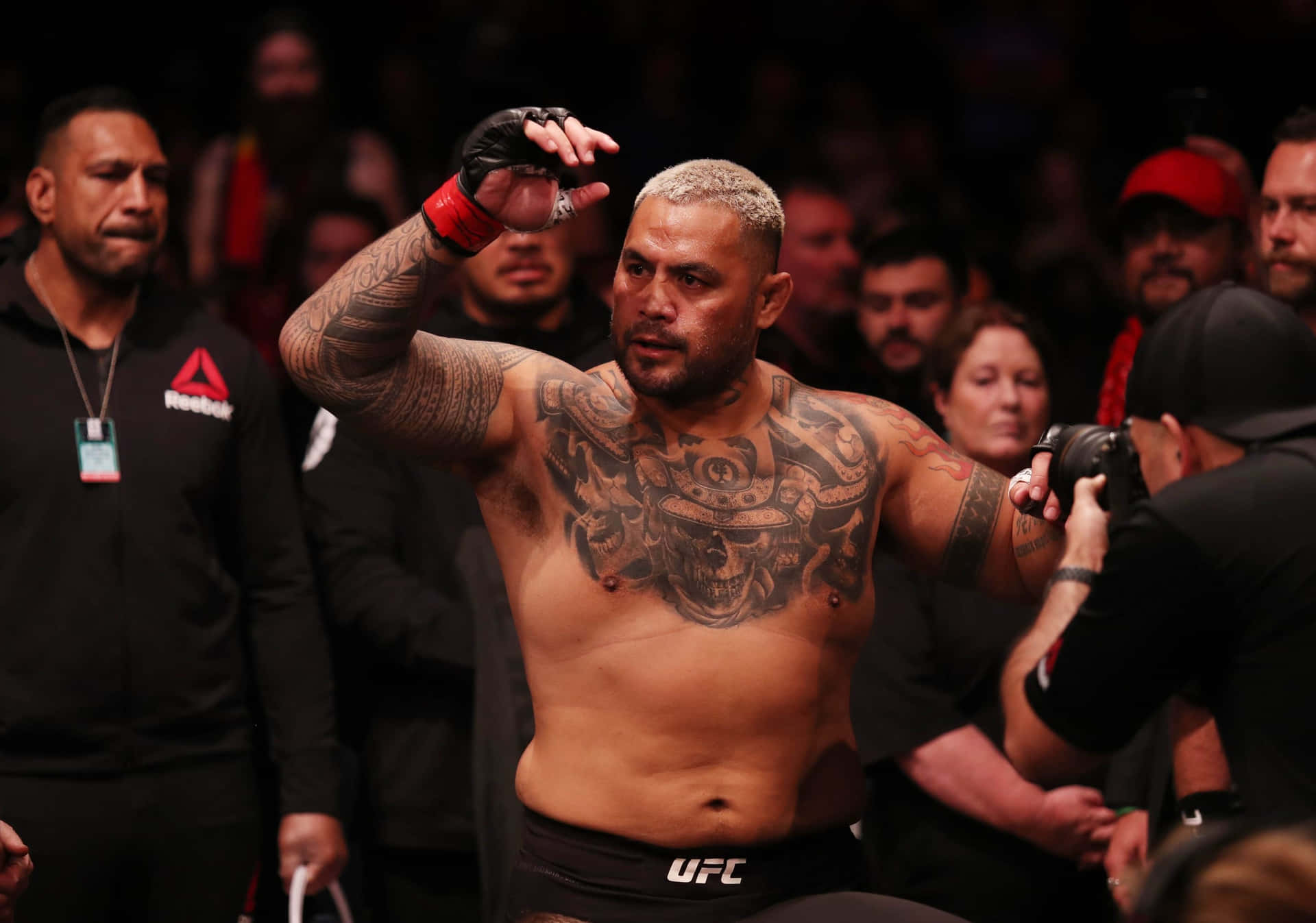 Ufc Fighter Mark Hunt Background