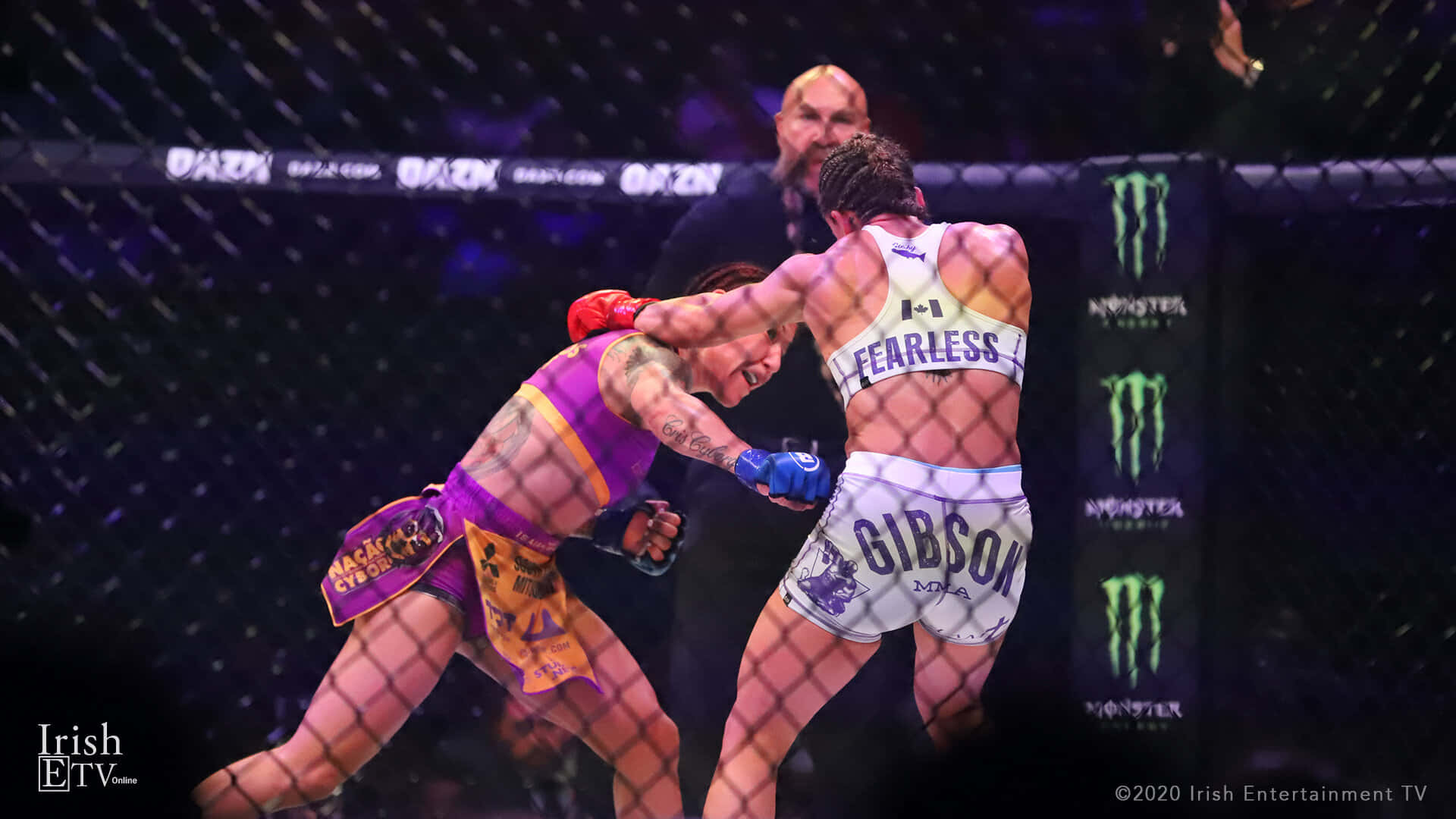 Ufc Fighters Cris Cyborg And Julia Budd Long Shot Background