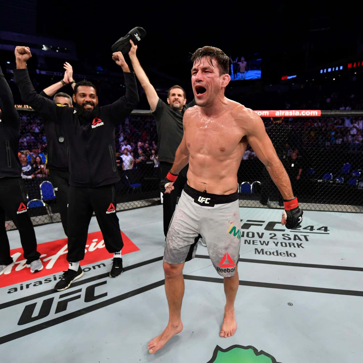 Ufc Fighters Demian Maia Victory