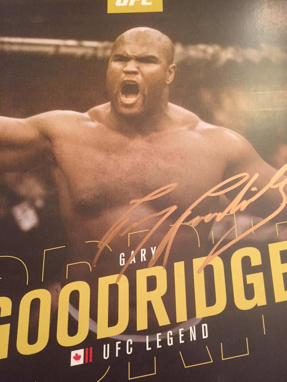 Ufc Legend Gary Goodridge Fighter Background