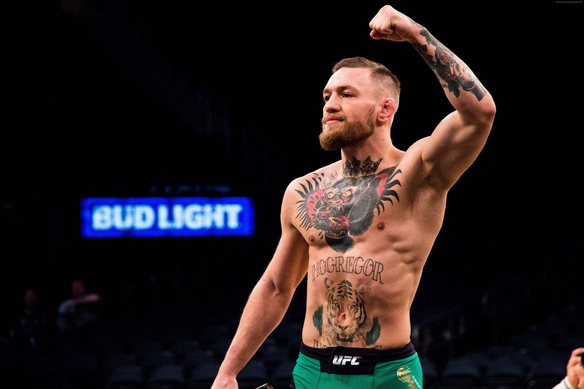 Ufc Mcgregor Fight Pose 4k Background