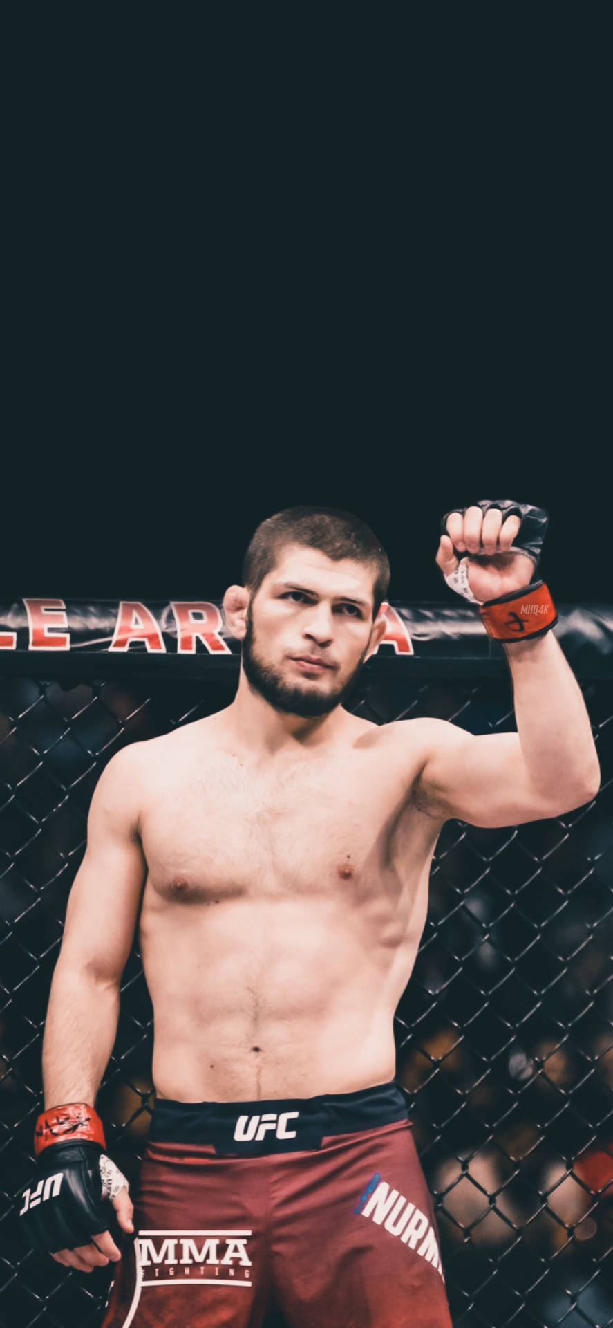 Ufc Portrait Khabib Nurmagomedov 4k Background