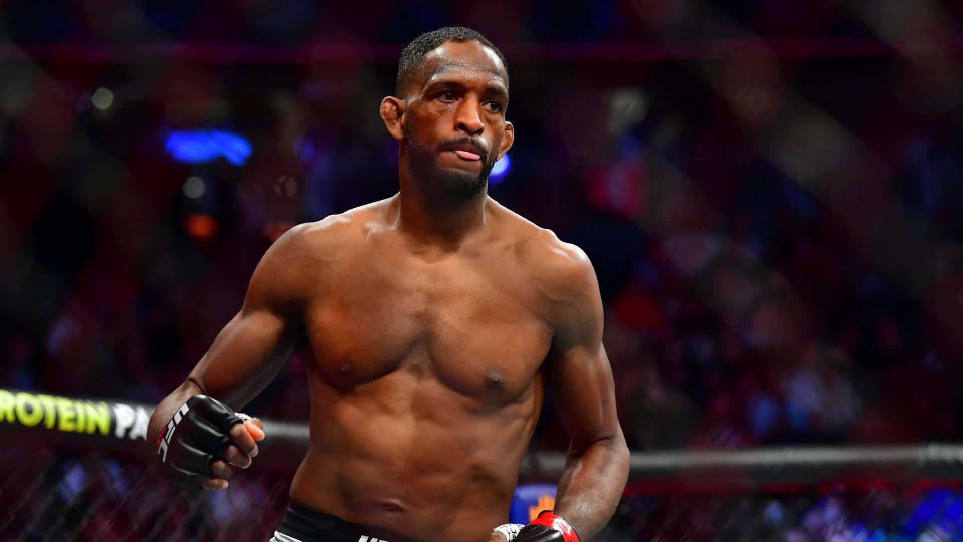 Ufc Ring Neil Magny Background