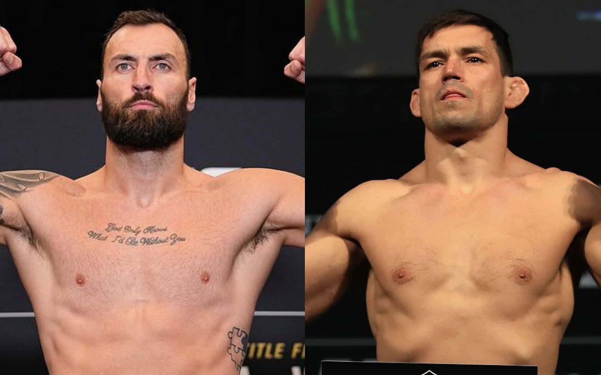 Ufc Welterweight Fighters Demian Maia Background