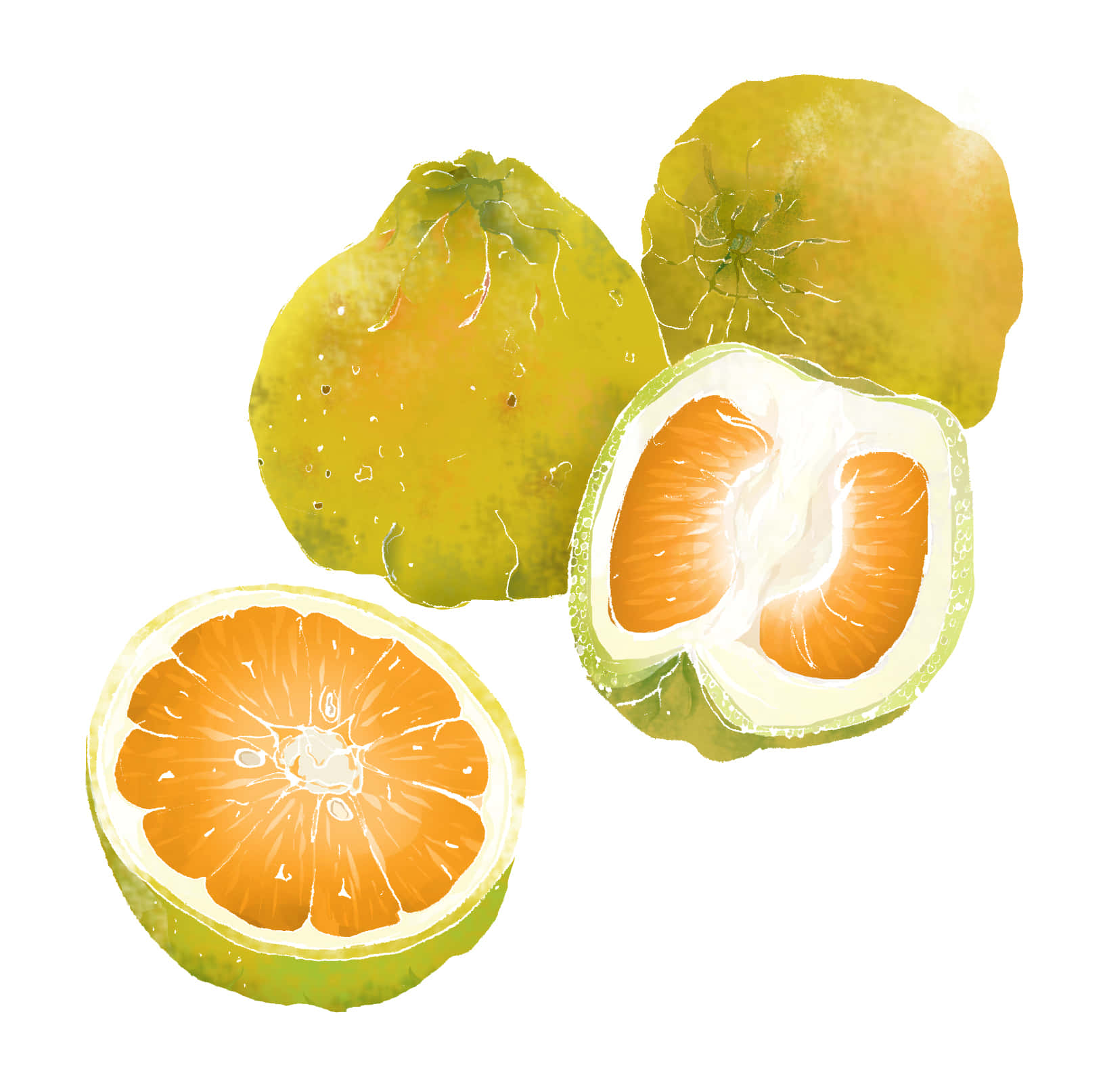 Ugli Citrus Fruits Digital Art Background