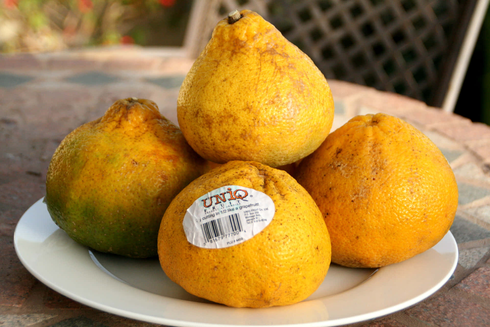Ugli Fruits On A Plate Background
