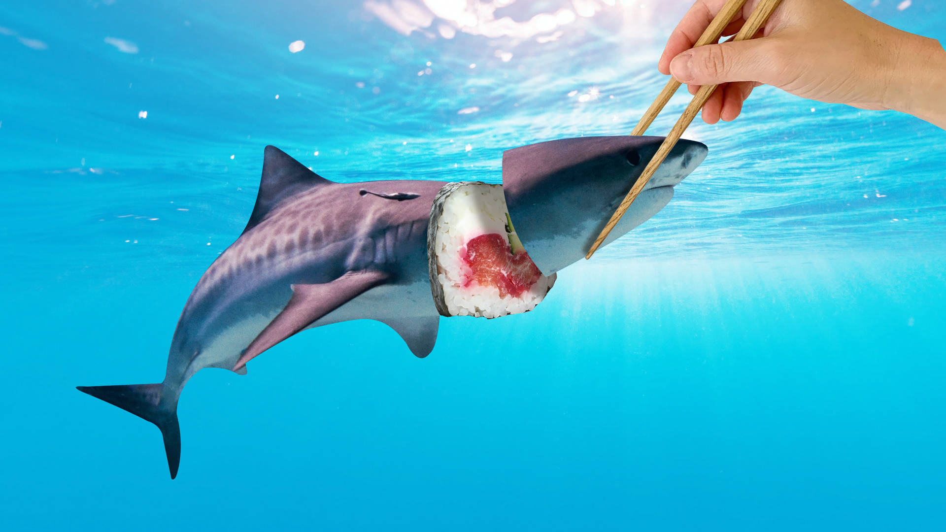 Ugly Sushi Shark
