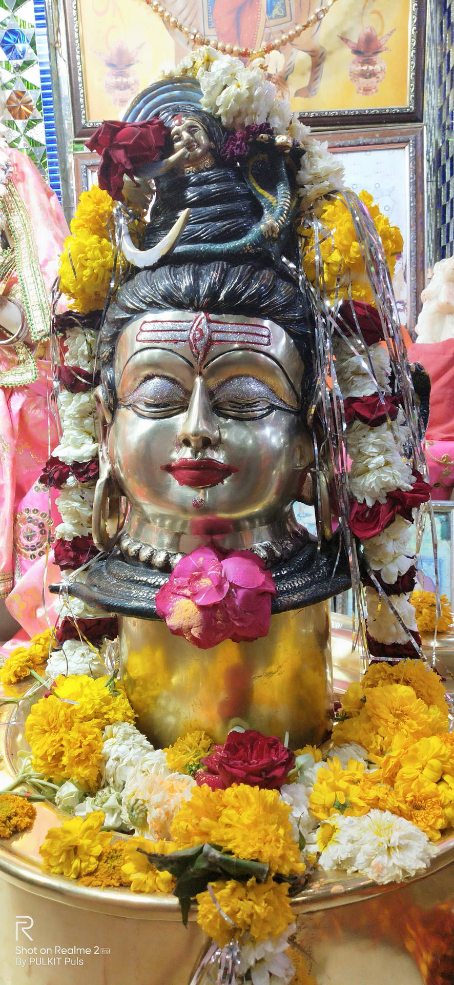 Ujjain Mahakal Yellow Flowers Background
