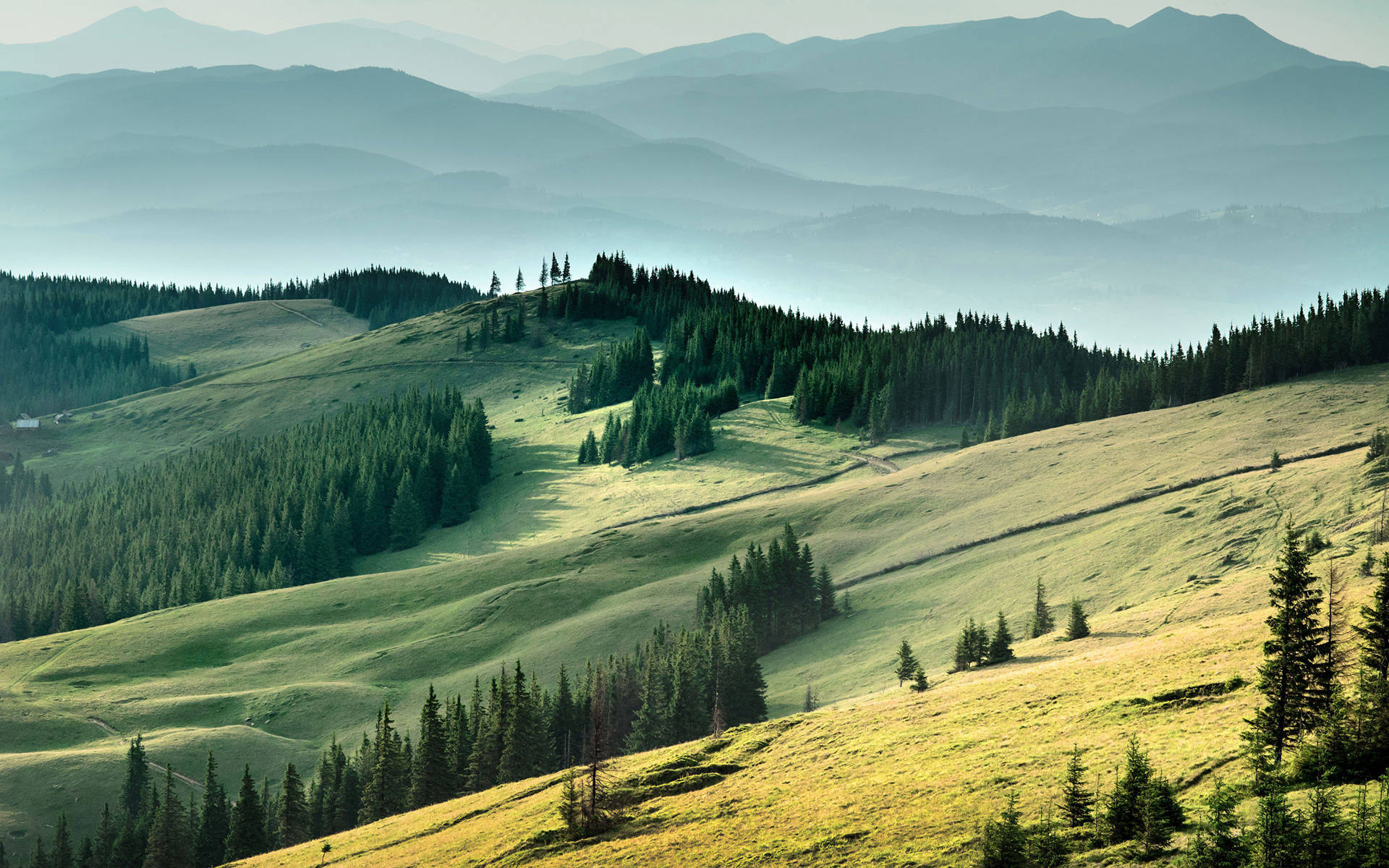 Ukraine Carpathian Mountain Ranges