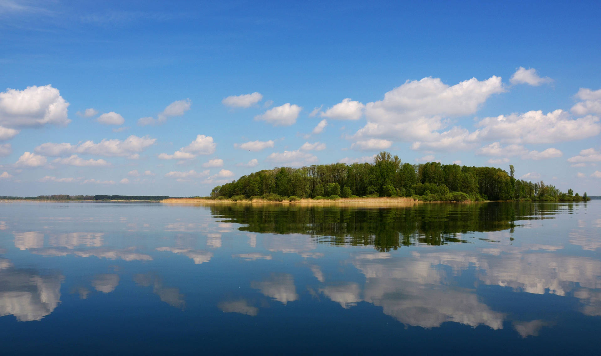 Ukraine Lake Svitiaz Background
