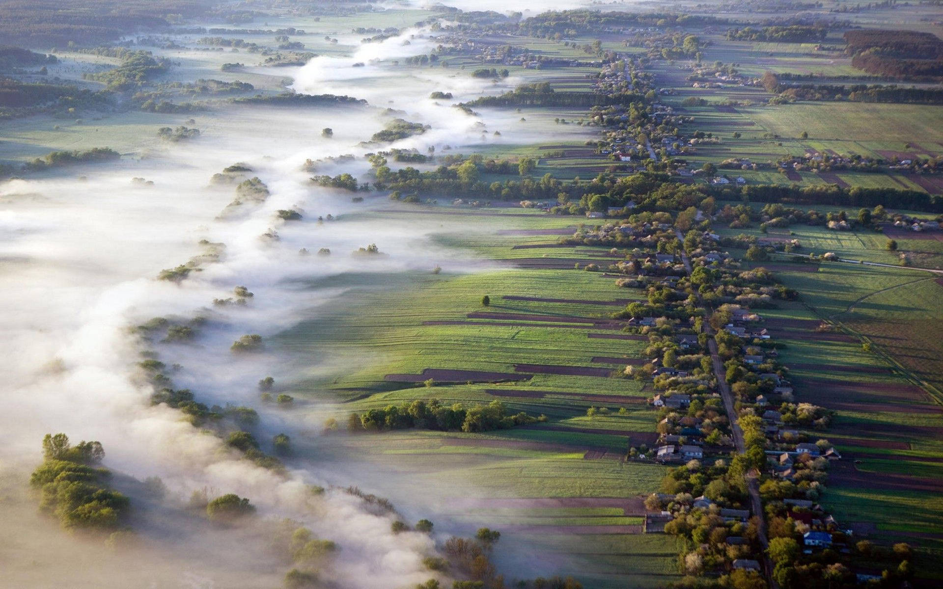 Ukraine Misty Field Background
